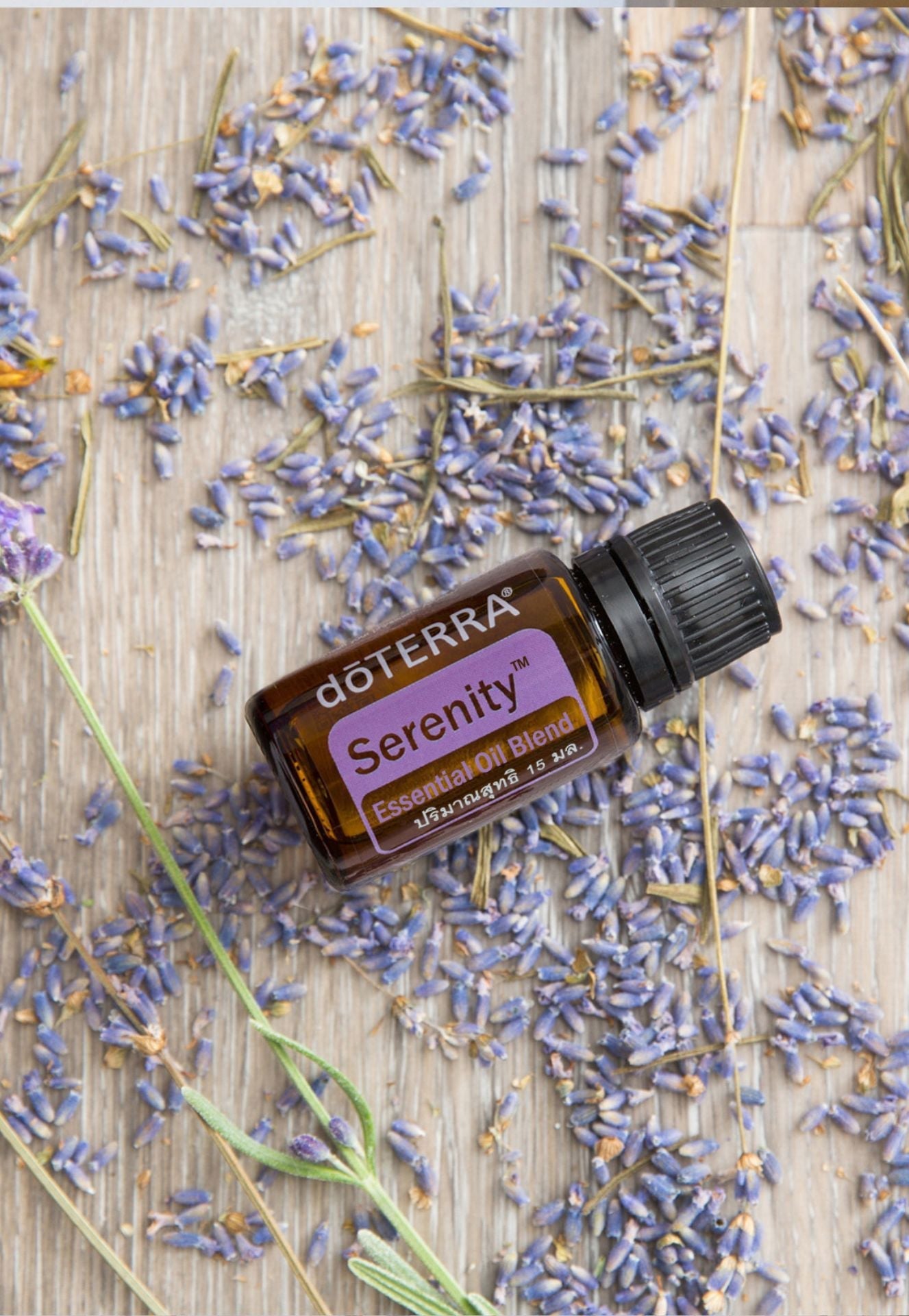 doTERRA Serenity Restful Blend